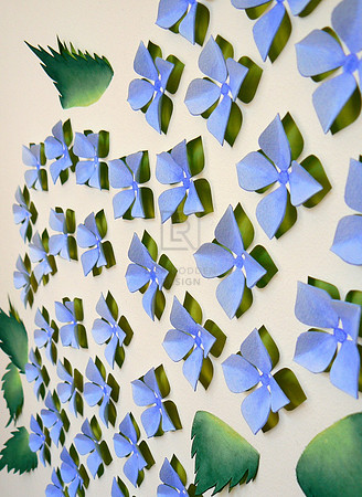 Hydrangeas