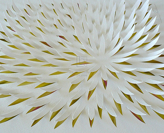 Small Blossom 2