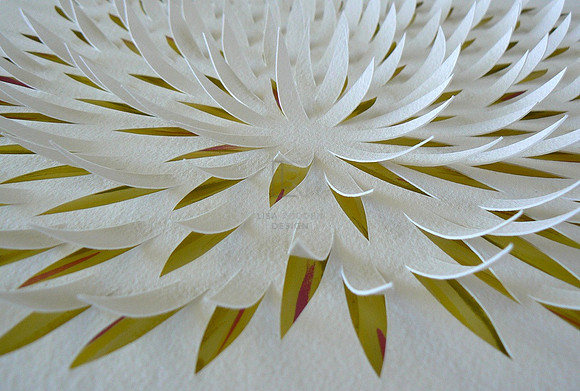 Small Blossom 2