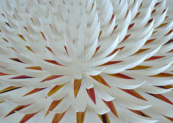Small Blossom 3