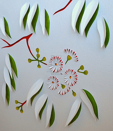 Eucalyptus Flowers I