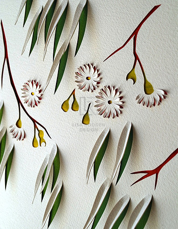 Eucalyptus Flowers II