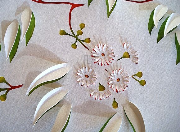 Eucalyptus Flowers I
