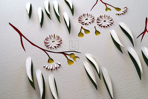Eucalyptus Flowers II