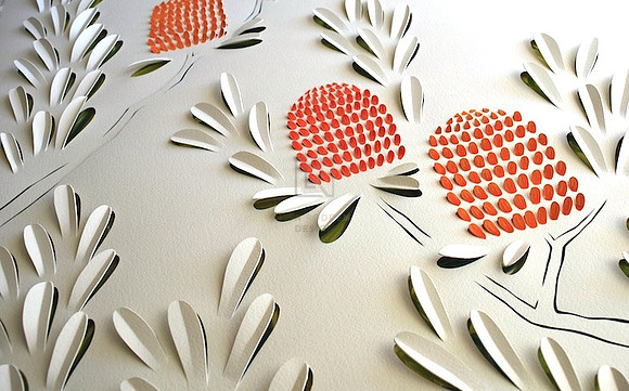 Banksia Flowers
