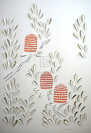 Banksia Flowers