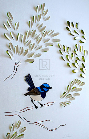 Superb Fairy Wren