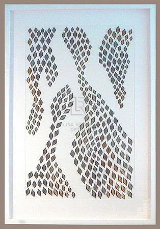 Banksia Dreaming