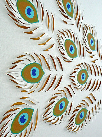 Peacock Feathers