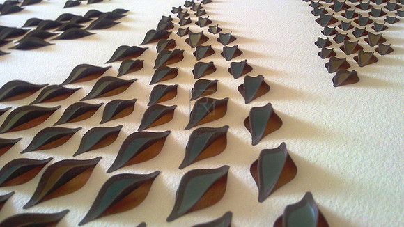Banksia Dreaming
