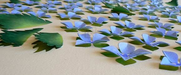 Hydrangeas