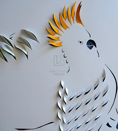 Cockatoo