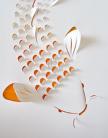 Koi I