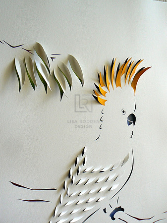 Cockatoo