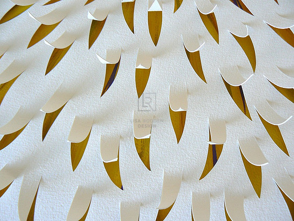 Chrysanthemum I