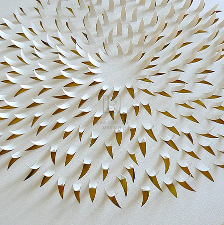 Chrysanthemum I