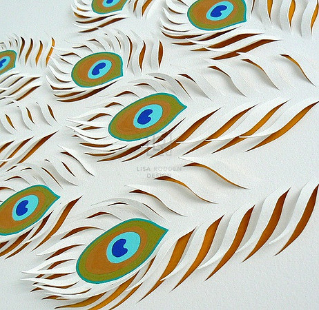 Peacock Feathers